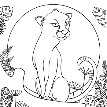 Proč má gepard skvrnité tváře