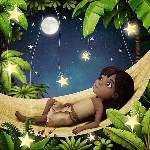 Boa Noite, Mira da Floresta