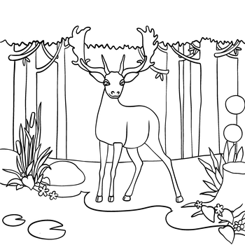 O jelenovi a jezírku