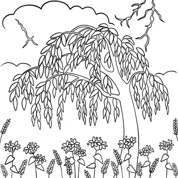 El relato del trigo sarraceno