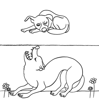 Der alte Schäferhund und der Wolf