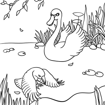 El cisne y el cuervo