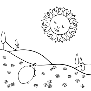 Perché il sole non si è mai sposato