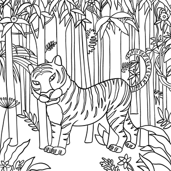 Como o Tigre ganhou suas listras